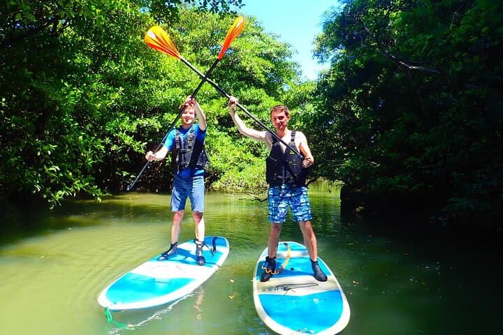 Ishigaki Mangrove SUP or Canoe + Blue Cave Snorkeling — photo 12