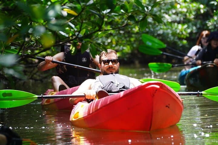Okinawa Iriomote SUP or Canoe and Sightseeing in Yubujima Island — photo 2
