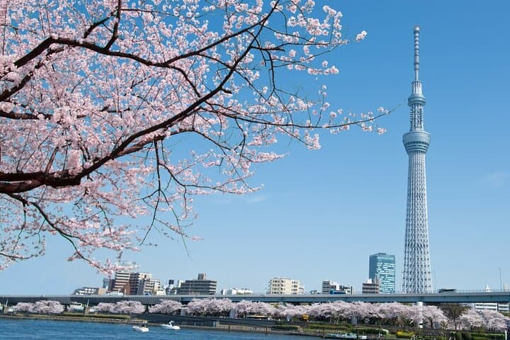 Tokyo: Private Customize Day Tour With Hotel Transfer — photo 6