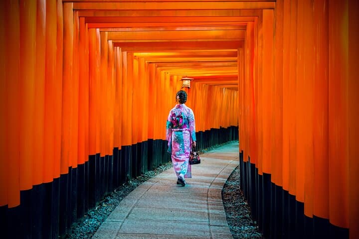 Kyoto Full Day Tour with a Local Travel Companion — photo 1