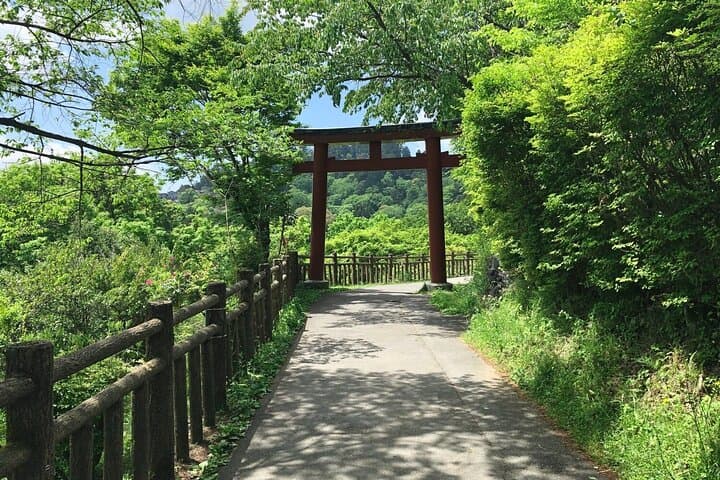 Sake Brewery and Spiritual Nature Tour in Okutama Tokyo — photo 11