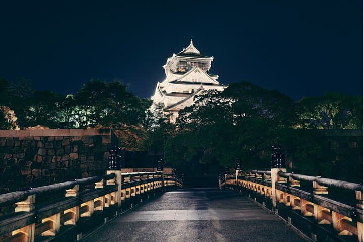 Best Private Osaka Walking Tour With A Guide 100% Personalised — photo 4