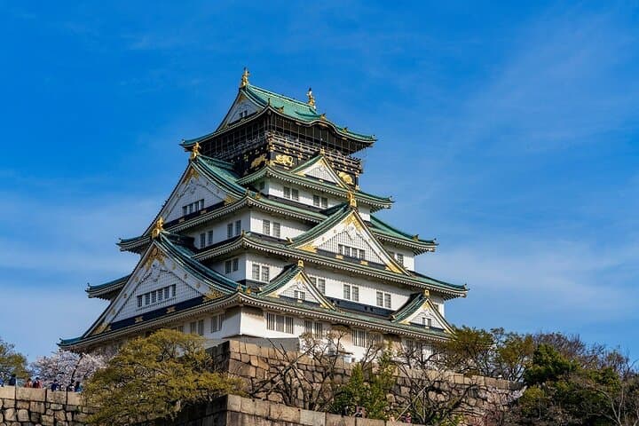 Explore Osaka Hotspots in 1 Day Walking Tour from Osaka — photo 4