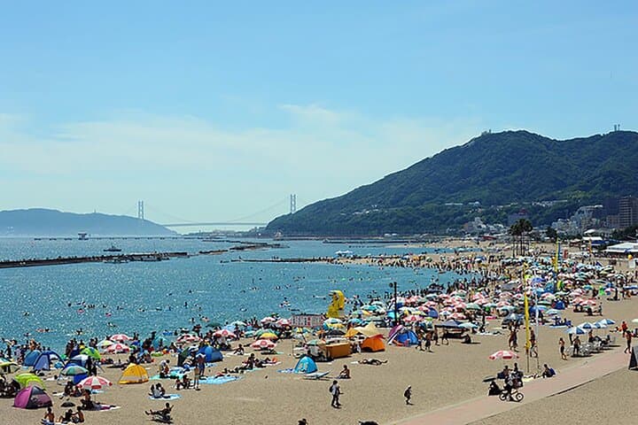 Kobe City's Best Gems - Private car tour. — photo 8