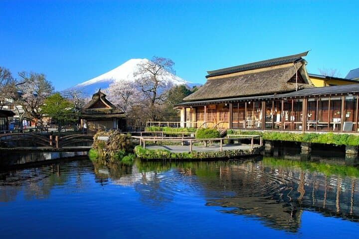 Tokyo: 10-hour Mount Fuji Private Customizable Day Tour — photo 4