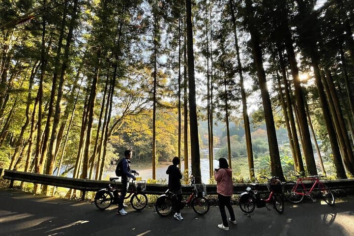 １Day Tokyo Backcountry Okutama with E-bike — photo 4