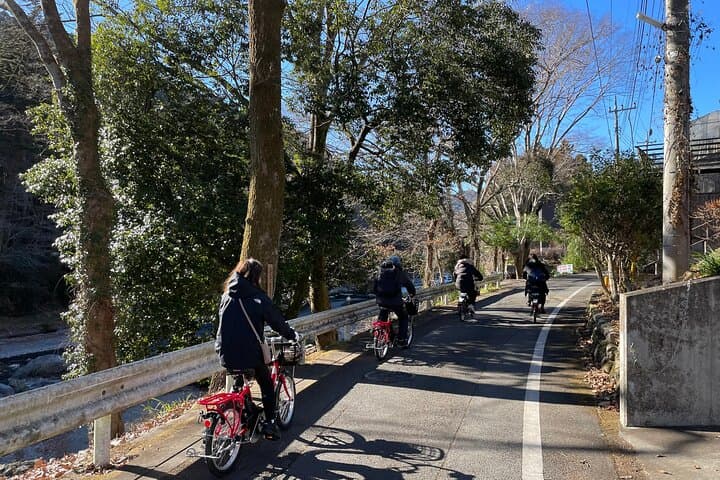 １Day Tokyo Backcountry Okutama with E-bike — photo 5