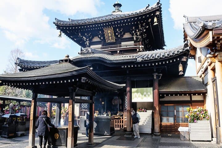 Osaka's Best with a local - Private Shore Excursion Kobe Port — photo 5