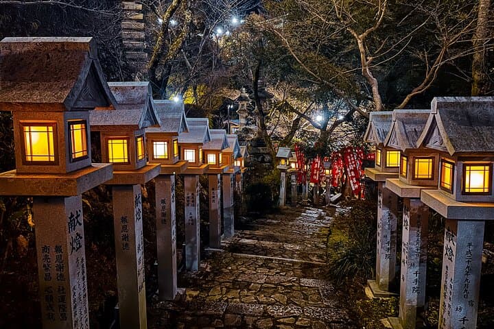 Hidden Gems of Osaka Kyoto Nara - Private Car Tour by Local Guide — photo 17