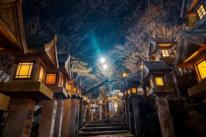 Hidden Gems of Osaka Kyoto Nara - Private Car Tour by Local Guide — photo 11