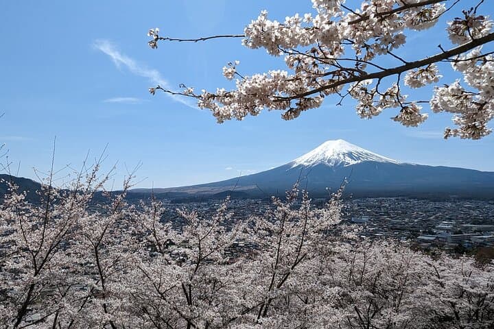 Mt Fuji Hidden Gem Custom Car Tour with Licensed Guide & Driver — photo 15