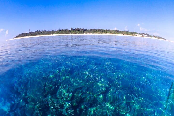 Okinawa Scuba Diving For Certified Divers (3 boat dives + Lunch) — photo 12
