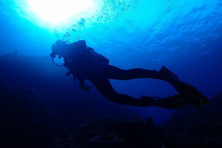 Okinawa Scuba Diving For Certified Divers (3 boat dives + Lunch) — photo 11
