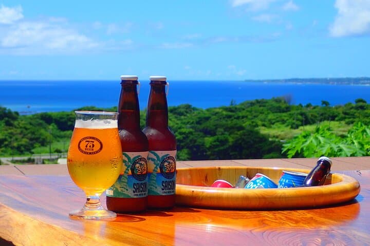 Okinawa Scuba Diving For Certified Divers (3 boat dives + Lunch) — photo 14