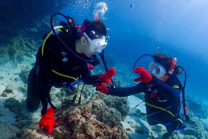 2-Day Private Deluxe Certification Course for Scuba Diving — photo 5