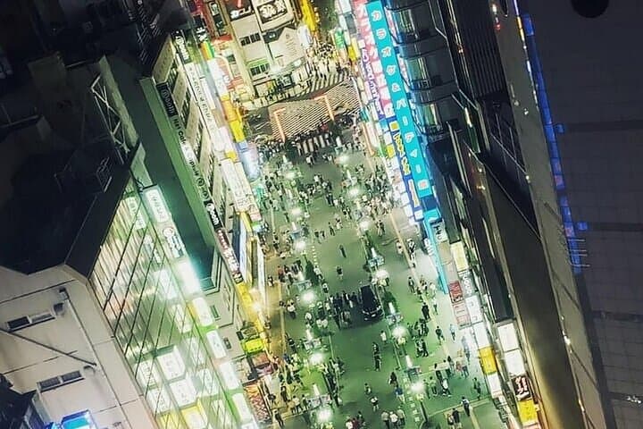 Tokyo Walking Tour with Licensed Guide Shinjuku — photo 15