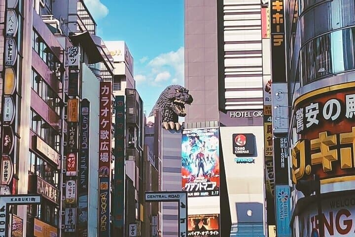 Tokyo Walking Tour with Licensed Guide Shinjuku — photo 20