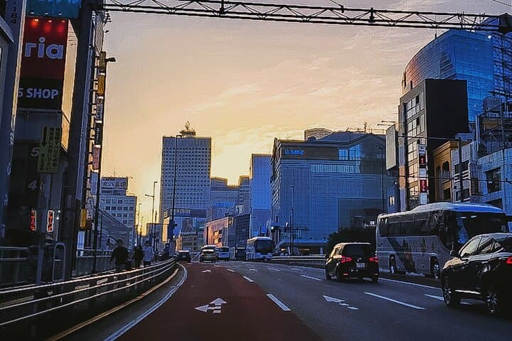 Private Tokyo Shinjuku Bus Tour with Licensed Guide — photo 1