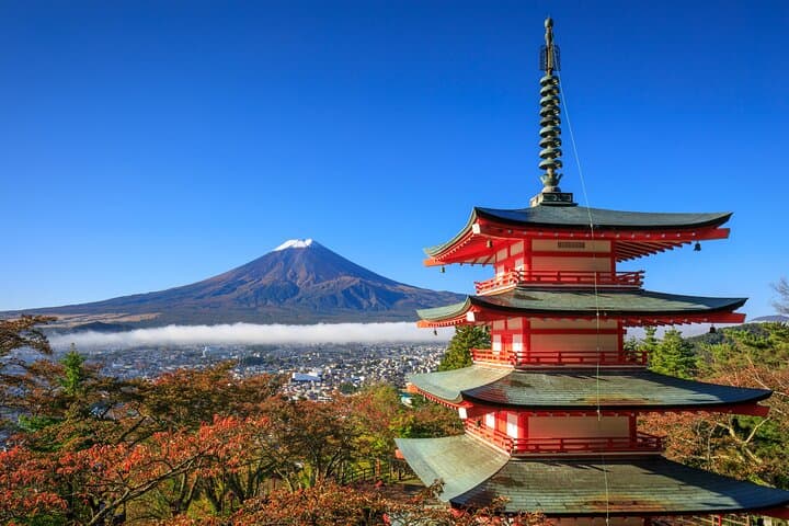 Mt. Fuji or Hakone Private Sightseeing Day Trip From Tokyo — photo 3