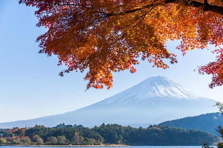 Mt. Fuji or Hakone Private Sightseeing Day Trip From Tokyo — photo 2
