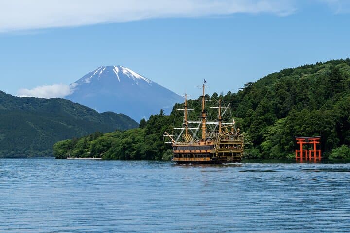 Mt. Fuji or Hakone Private Sightseeing Day Trip From Tokyo — photo 5