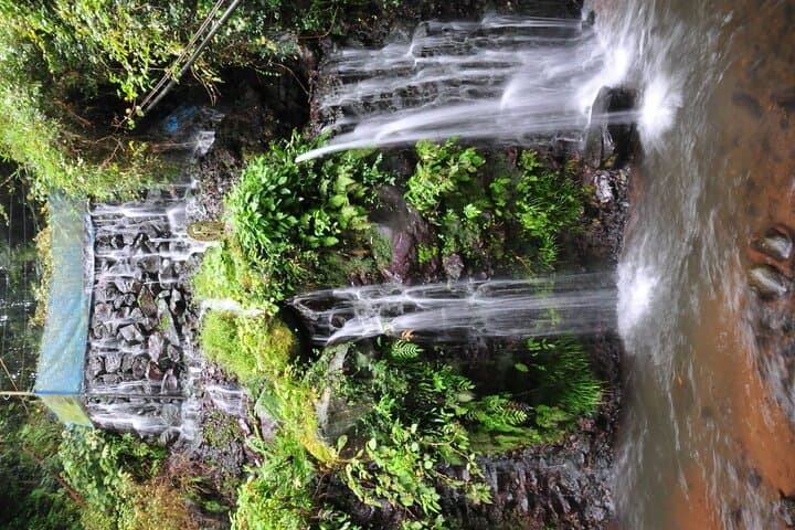 Private Full-Day Guided Tour in Mount Fuji Lakes — photo 8