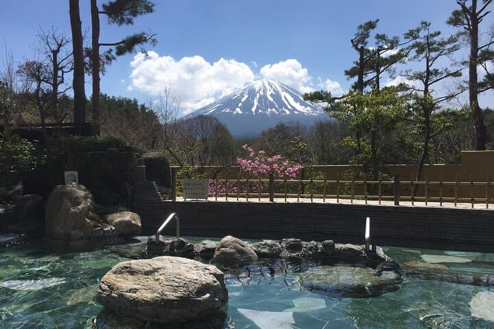 Private Full-Day Guided Tour in Mount Fuji Lakes — photo 10