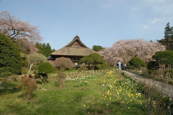 Private Full-Day Guided Tour in Mount Fuji Lakes — photo 12