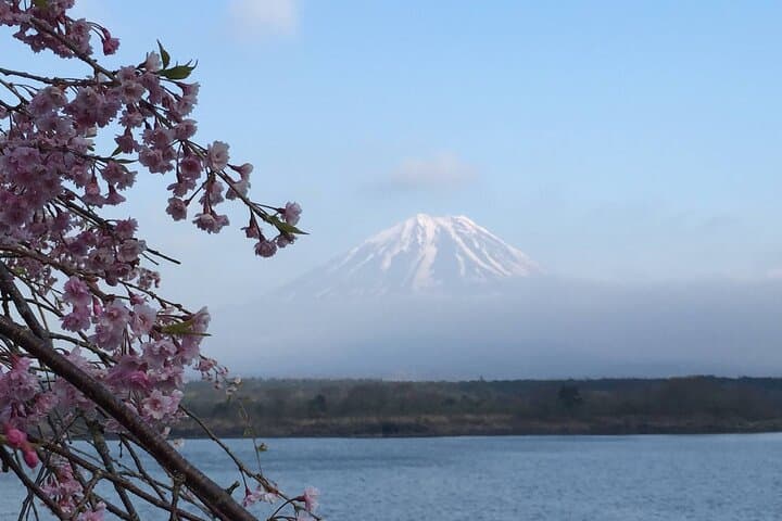 Private Full-Day Guided Tour in Mount Fuji Lakes — photo 13