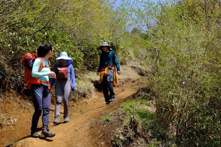 Traverse Outer Rim of Hakone Caldera and Enjoy Onsen Hiking Tour — photo 5