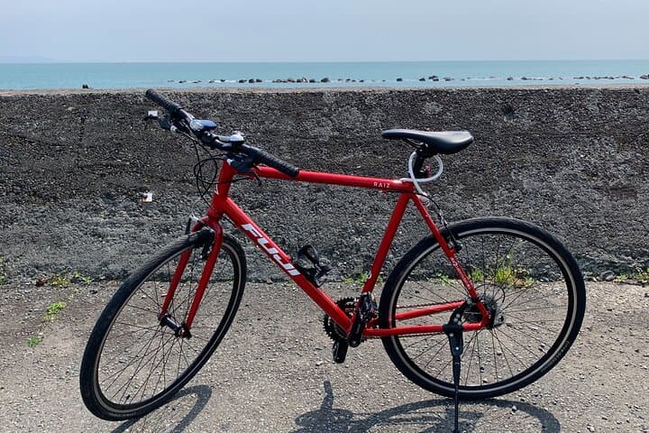 Rental Hybrid Bikes at Shizuoka Station (24 gears: Not e-bikes) — photo 8