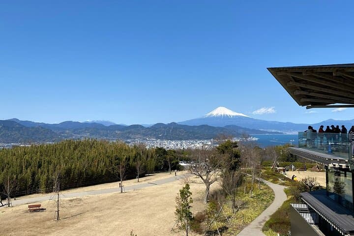 Classic Shizuoka with Mt.Fuji view 1 Day Private Shore Excursion — photo 8