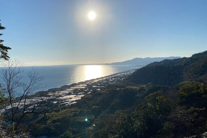 Classic Shizuoka with Mt.Fuji view 1 Day Private Shore Excursion — photo 6