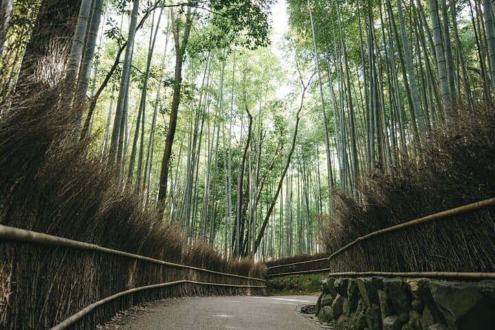 Arashiyama Hidden Gems: Walking Tour escaping crowds — photo 10