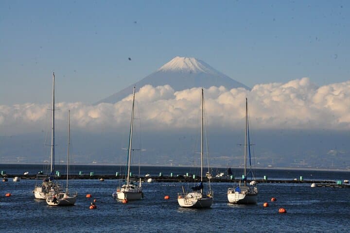 Private Full-Day Guided Tour in Mount Fuji Lakes — photo 14