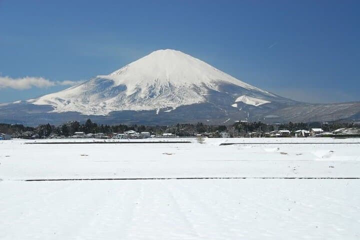 Private Full-Day Guided Tour in Mount Fuji Lakes — photo 15