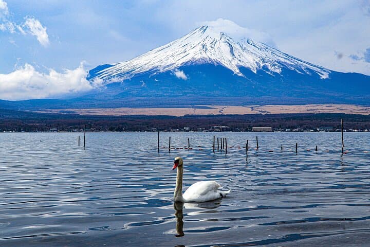 MT. FUJI/ Private Tour delivered and guided by a top-tier driver — photo 3