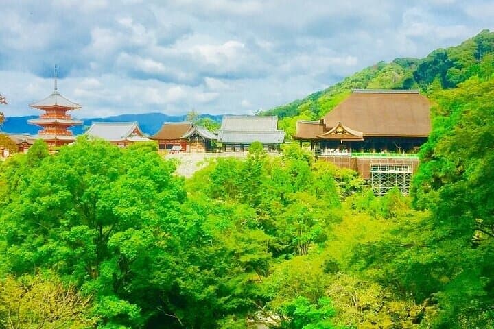 Full-Day Private Guided tour to Kyoto City — photo 9