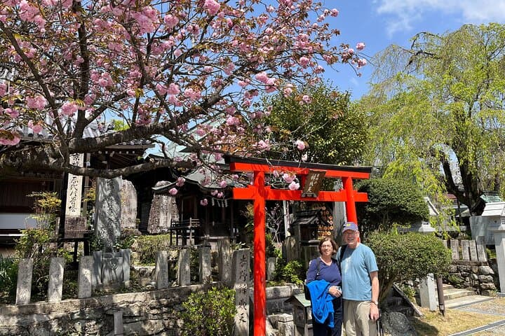 Historic and Natural Guided Hike in Yoshino — photo 15