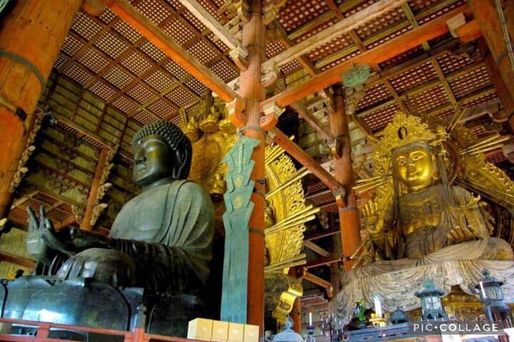 Private Tour Kyoto-Nara w/Hotel Pick Up & Drop off from Kyoto — photo 5
