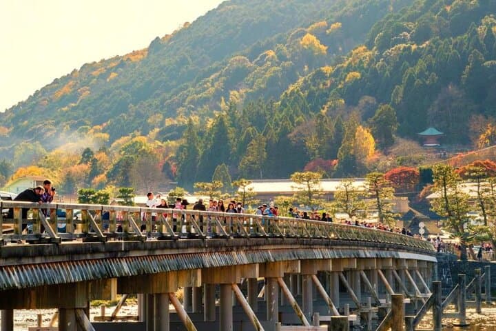 Kyoto & Nara: Nara Park, Fushimi Inari & Arashiyama Day Trip — photo 6