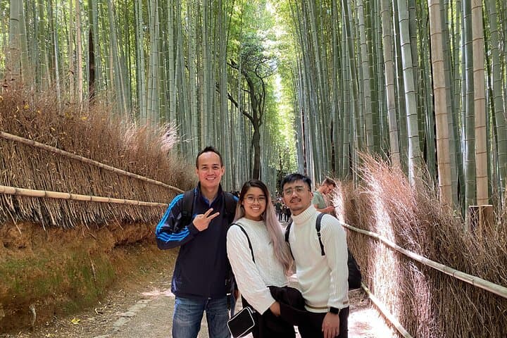 Exclusive Kyoto Day Tour from Osaka by Train and Taxi — photo 5