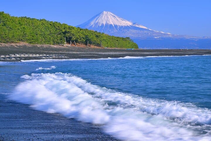 Step-Free Easy going tour from Shimizu Port / Van Taxi — photo 6