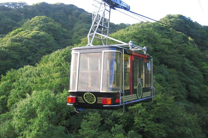 Private Sightseeing Tour from Shimizu Port /Small Bus — photo 6