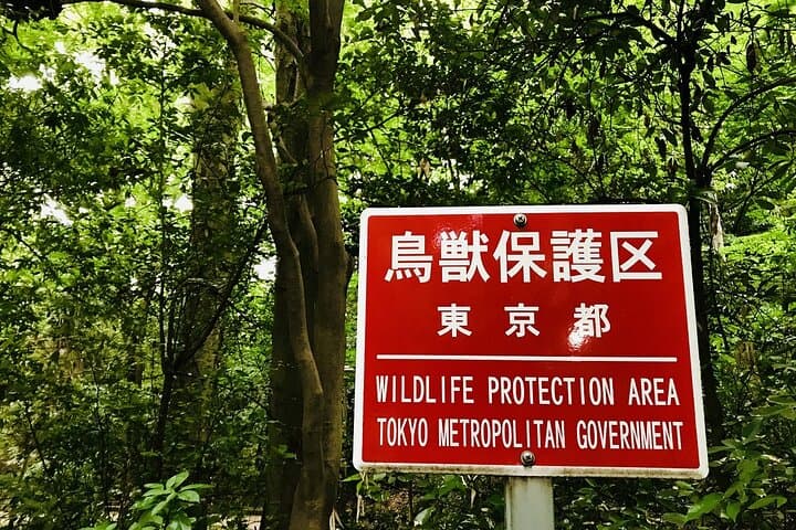 walking the only valley in Tokyo, Eat and Compare Hot Pot Dishes. — photo 4