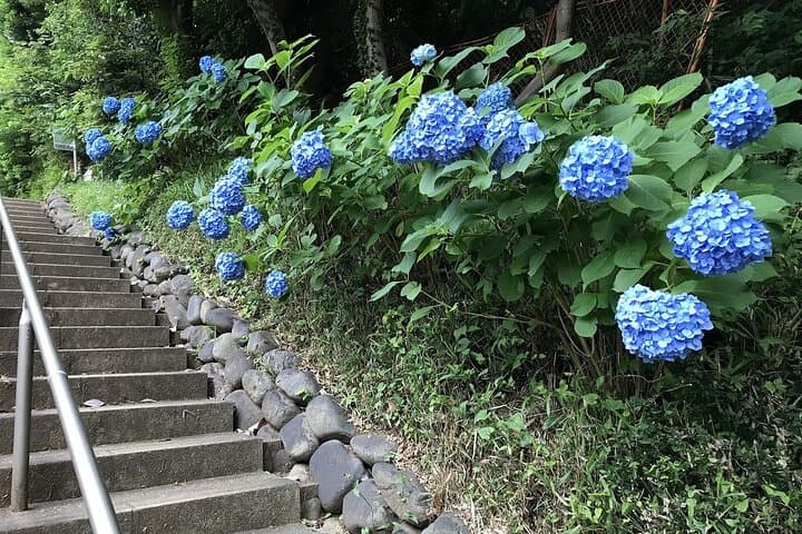 walking the only valley in Tokyo, Eat and Compare Hot Pot Dishes. — photo 6