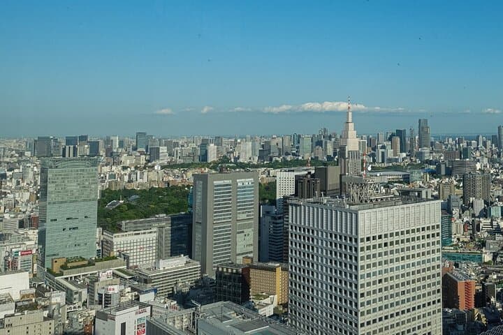Licensed Guide Shinjuku Underground Mall Tour (Tokyo) — photo 11