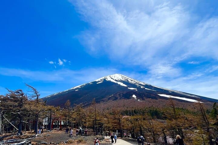 Mt. Fuji & Hakone Bus Tour Bullet Train Return & 28-Hotel Pick-up — photo 10