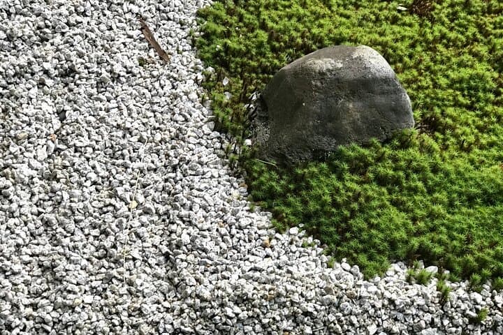 Kyoto Garden Tour and Mini Garden Making Experience — photo 7