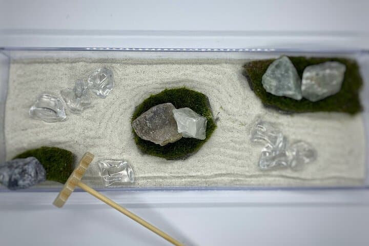 Kyoto Garden Tour and Mini Garden Making Experience — photo 1